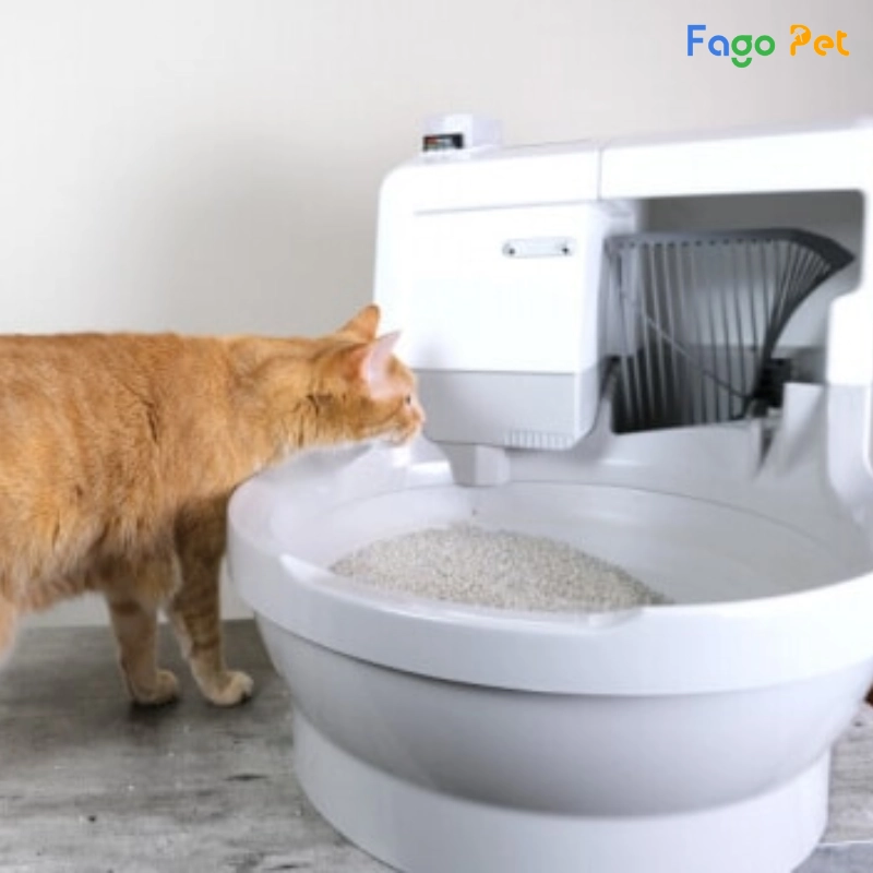 nhà vệ sinh cho mèo size lớn
