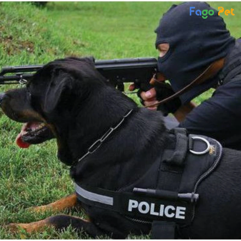 áo police cho chó