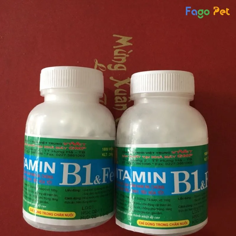 vitamin B1 cho chó