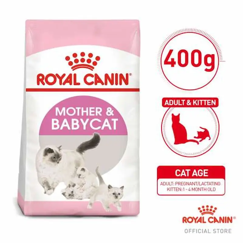 Thức ăn hạt cho mèo baby cat Royal Canin 400g