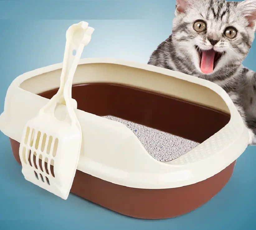 dụng cụ vệ sinh cho mèo
