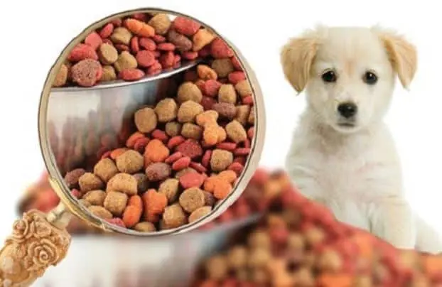 Các loại đồ ăn cho chó theo các thương hiệu