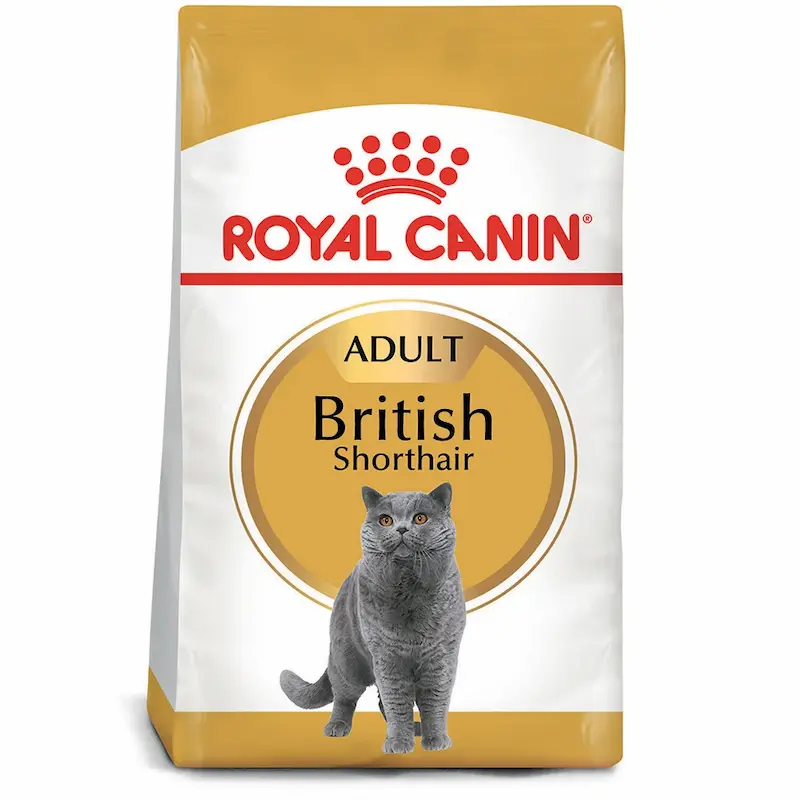 Thức ăn cho mèo Royal Canin British shorthair 400g