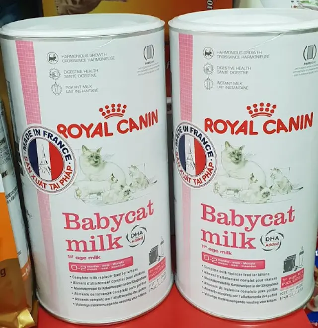 sữa cho mèo con