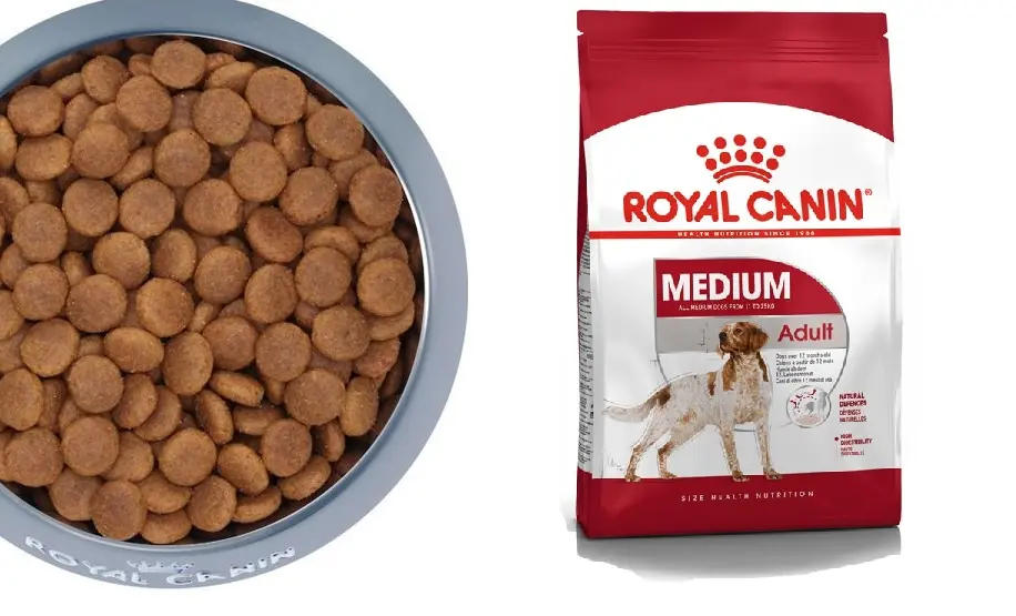 Thức ăn khô cho chó Royal Canin