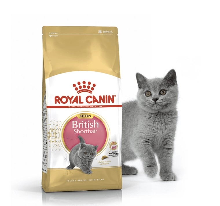 royal canin british shorthair