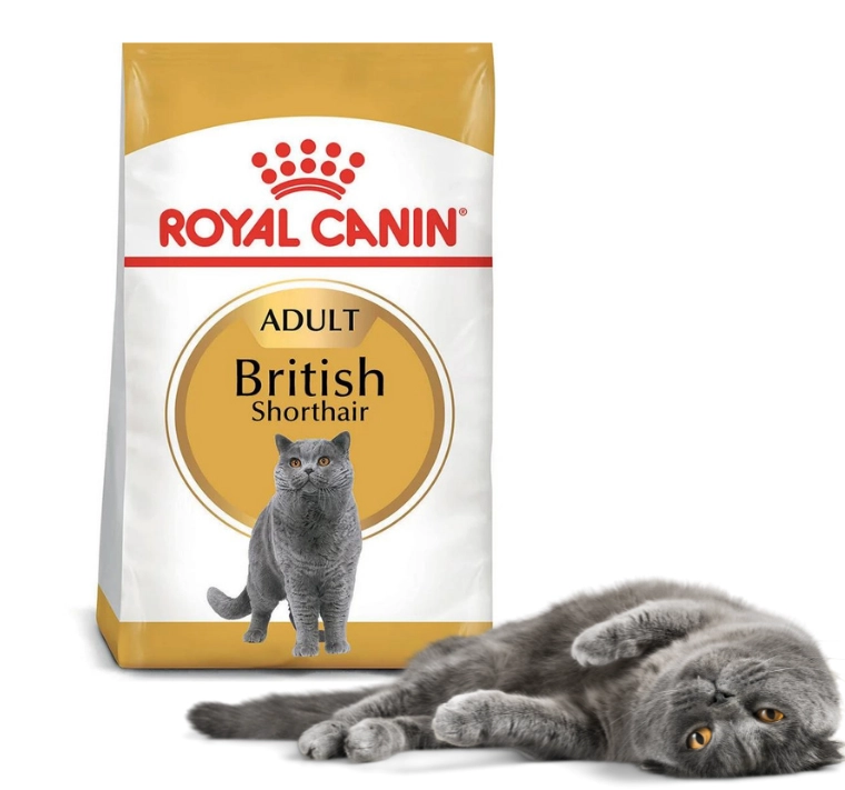 british shorthair royal canin 2kg