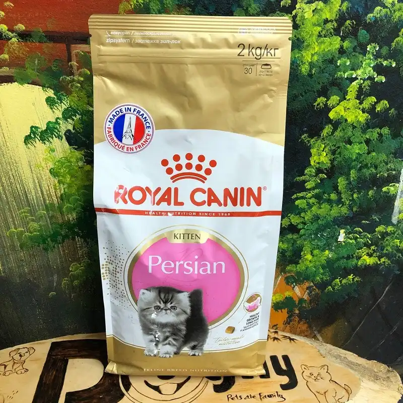 persian kitten royal canin