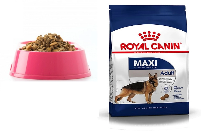 royal canin maxi adult 10kg