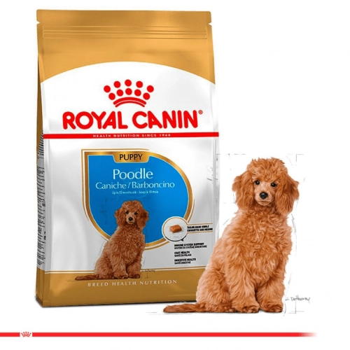 royal canin poodle puppy 10kg