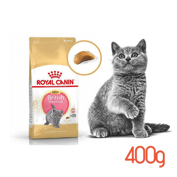 thuc-an-cho-meo-royal-canin-british-shorthair-kitten-400g-1.webp