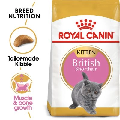 royal canin british shorthair kitkten 2kg