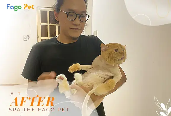 Spa chó mèo Fagopet - Địa chỉ đáng tin cậy cho thú cưng