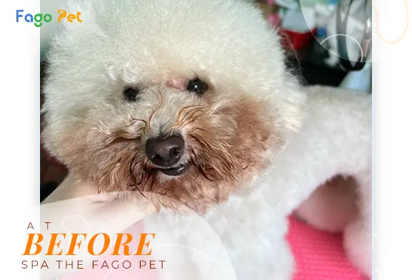 fagopet